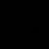 paleopale