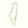 dandelion_2164