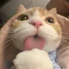 _khaahan123