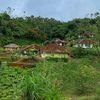 ujanguye28