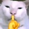 iwannramzi