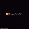 m11_iq