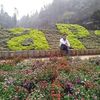 hoangphilong123456789