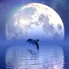 henry_386_