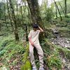 newar597