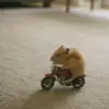 rrrxxxxy