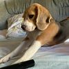 sanya_sanya146677
