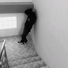 arror23