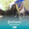 kisscat09