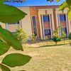 hassi_niazi