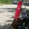 triwahdini87