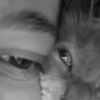 immo_00