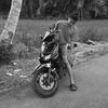iyakahboy026