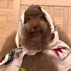 pupsik_ipuchiy