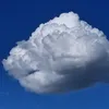 dachatiktok0