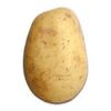 potato23179