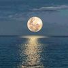 abo_samra1975
