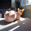 mr_pharaoh_
