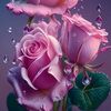 nancyfonseca41