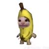 _donovan_08