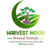 HARVEST MOON 🌙