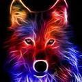 user183355241