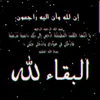 sifdin.bnechkora