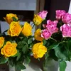 dypyu32um6gf