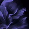 followerofgo.d