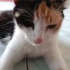 mamahselvi82