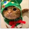 gato_navidad