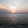 shoug_300