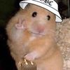 cera.kuw
