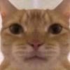 ianxd119