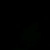 monse_d_vm
