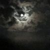 userbryant4