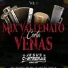 vallenatoscortavenas08