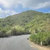 duc_viet5007
