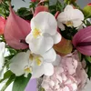 florryjune