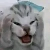 2chan07