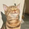 sephiyaaa1