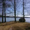 maijasaarinen1975