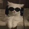 2roxii_
