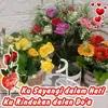 bbshs41