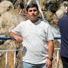 313_ali.6