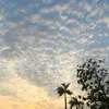 filetype_duyzxc