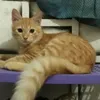 _ripki9_
