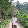 foresttt_