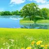 thamdoan_123