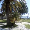 userzwkfp9zibh